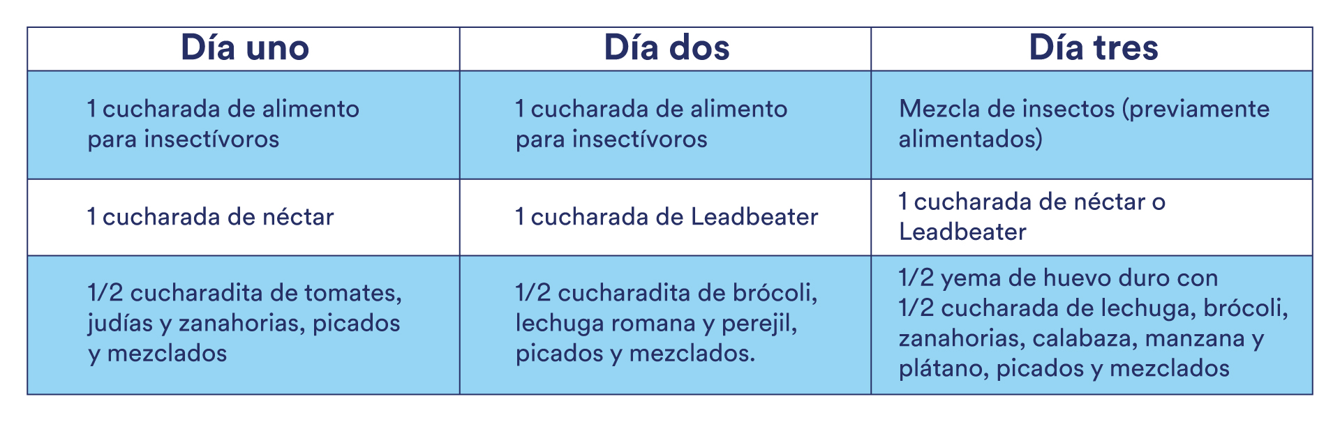 Conoce cual es la dieta correcta para tu Sugar Glider Blog Petco México