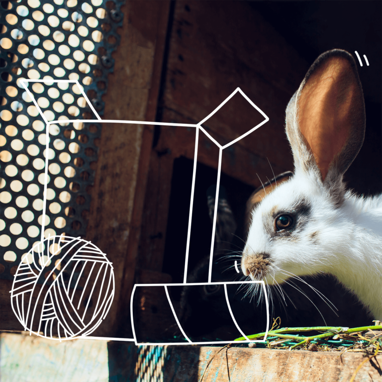 Juguetes para conejos, la mejor forma de combatir el aburrimiento - Blog  Petco México