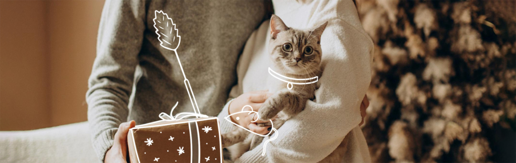 regalos saludables para tu gato