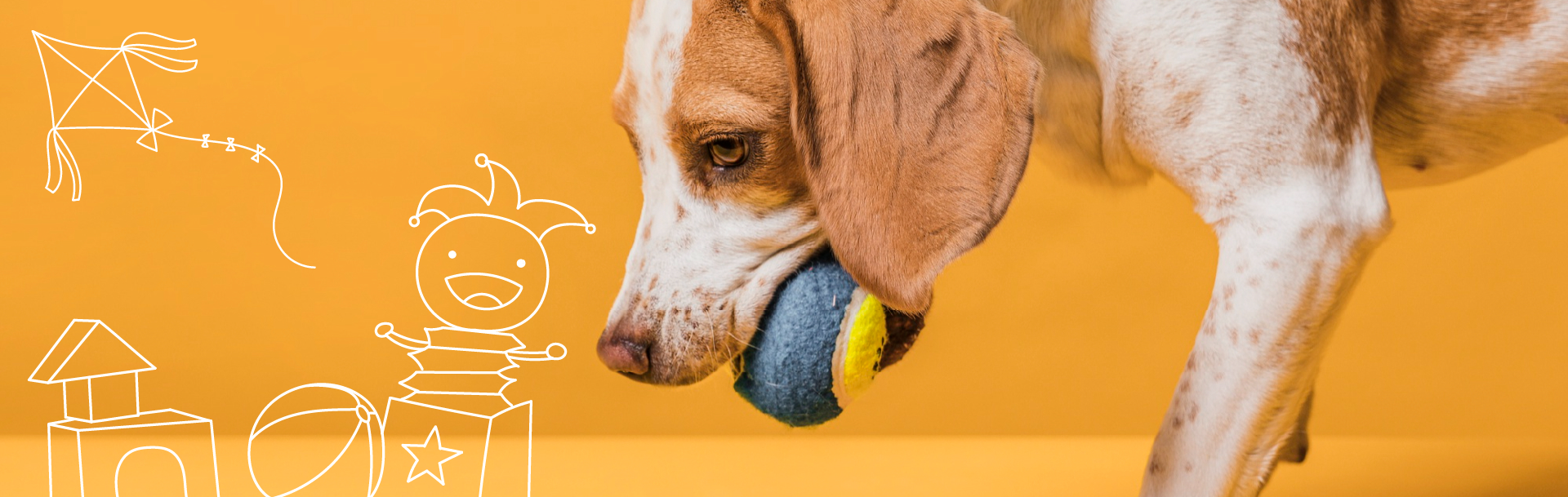 Juegos interactivos para perros: estimulación mental para tu perro