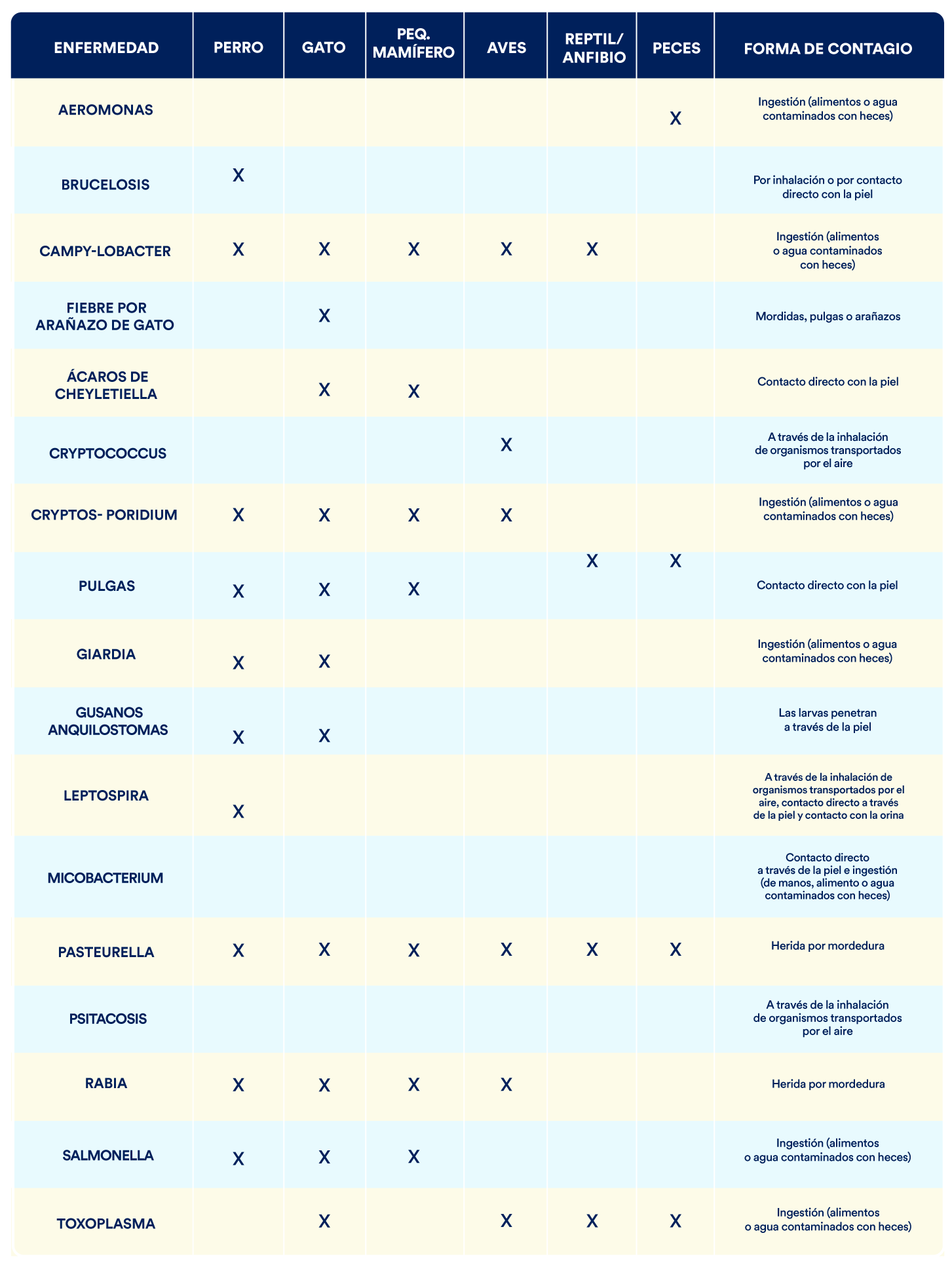 221Pe-tabla-act