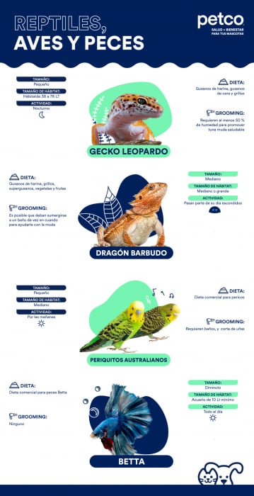 01Adop_Infografía_2