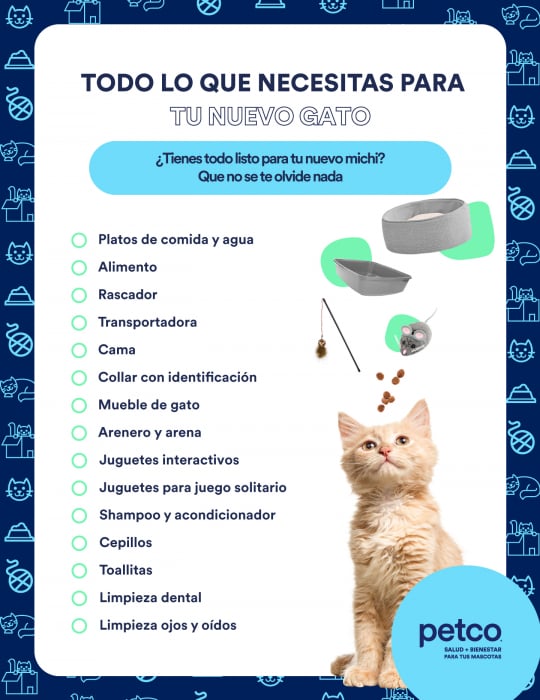 01Ga_Infografía