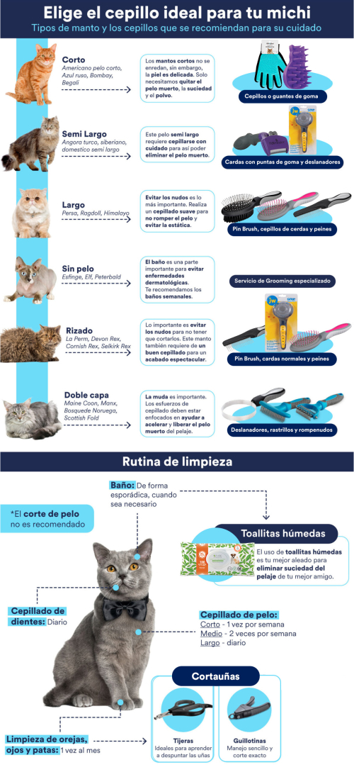 9Ga-infografia