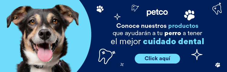 Banners_enfermedad_periodontal_perro
