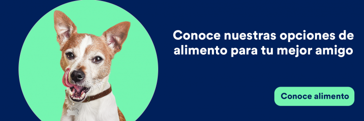 banner_blog etiquetas